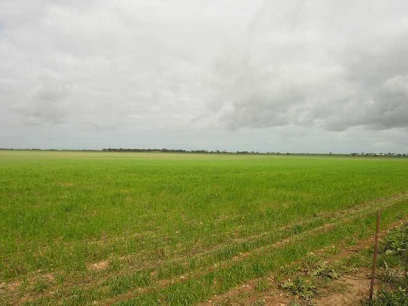 Lot 10 Old Dublin Road, Mallala SA 5502, Image 0