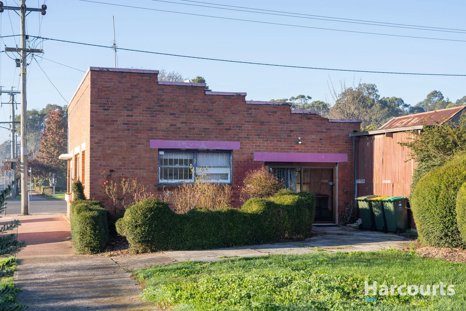 Image 13