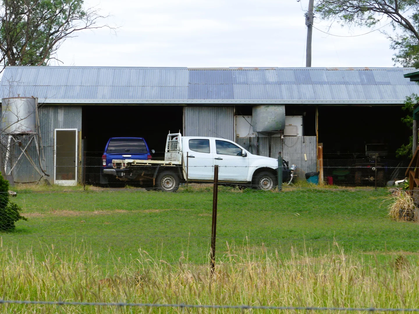 Image 12