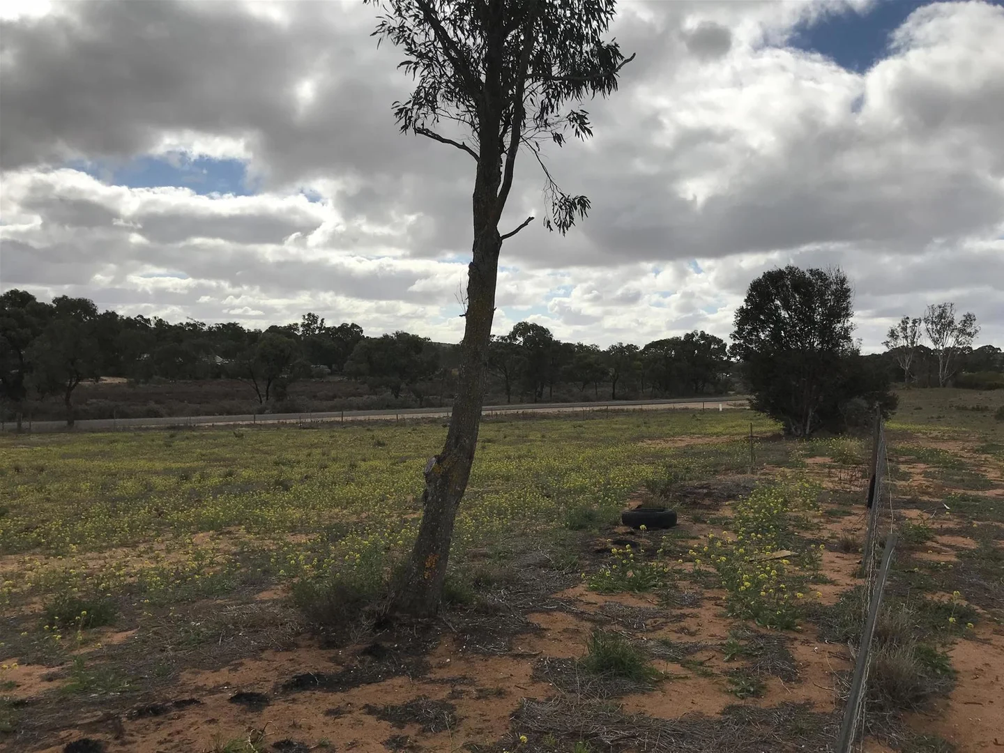 Image 19
