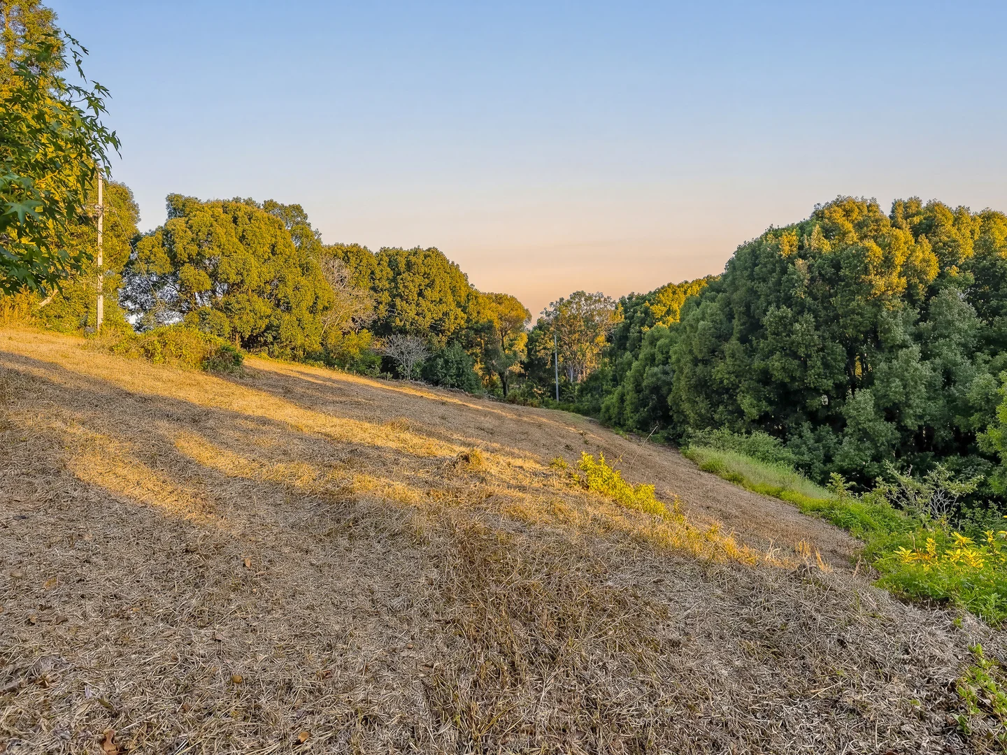Additional image 8 of 32 Brocks Road, Currumbin Valley QLD 4223