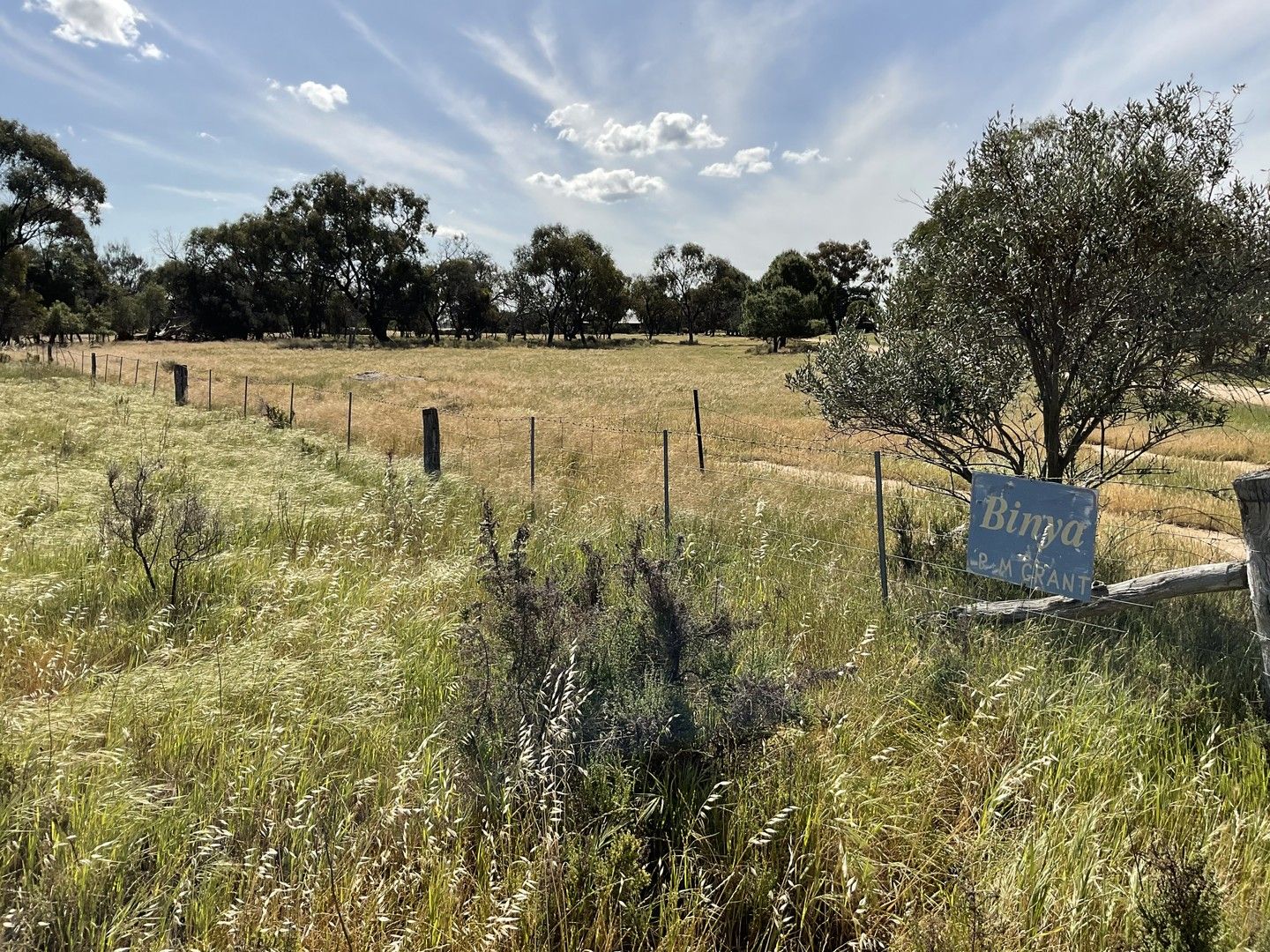 985 Burraboi Road, Burraboi NSW 2732, Image 0