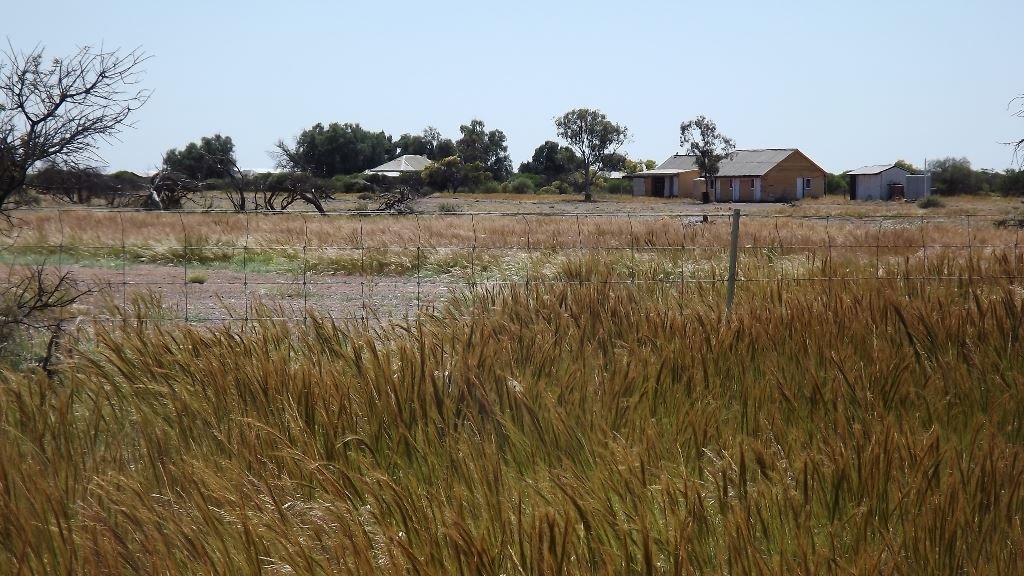 Mullewa WA 6630, Image 1