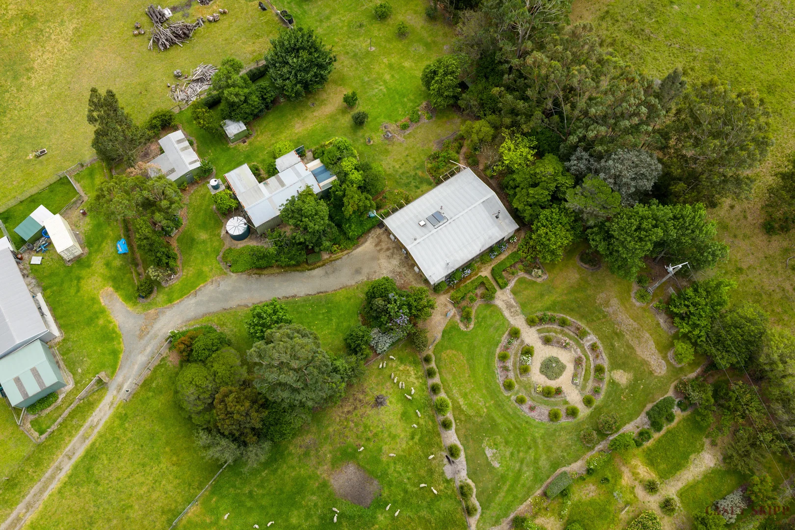 Image 23