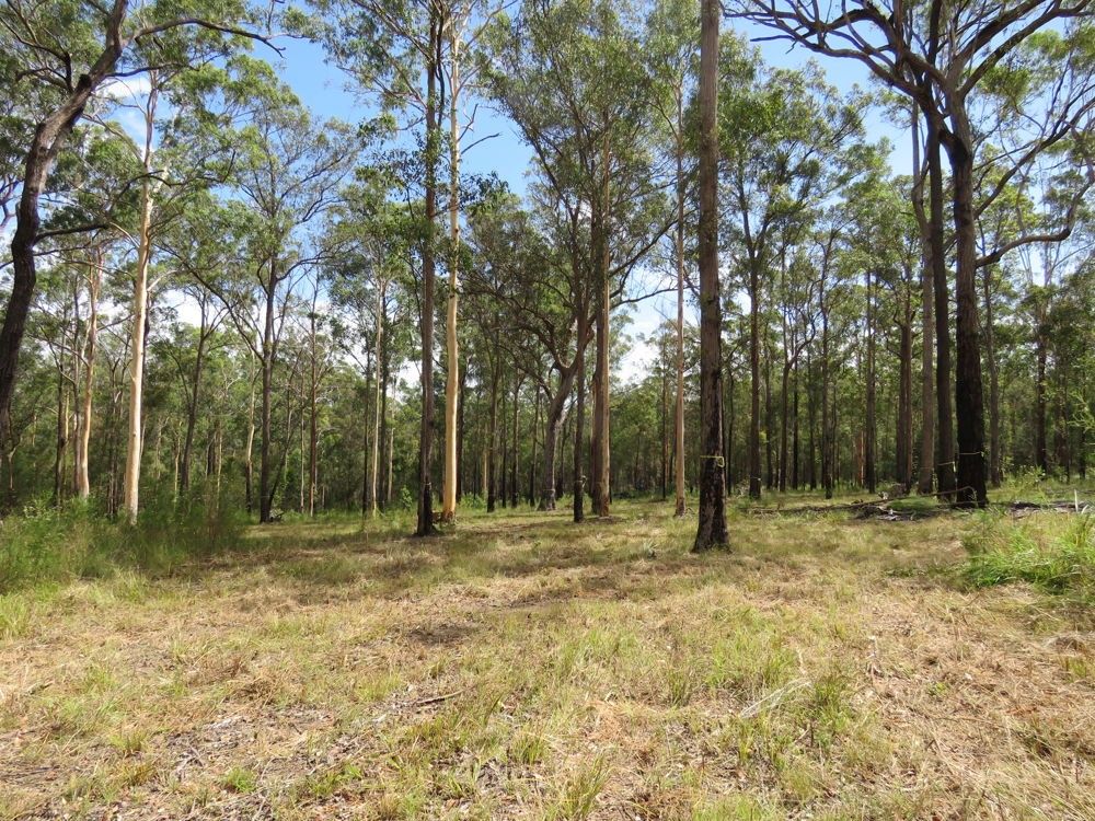 Lot 2 of 14 Ravenswood Road, Kundabung NSW 2441, Image 0