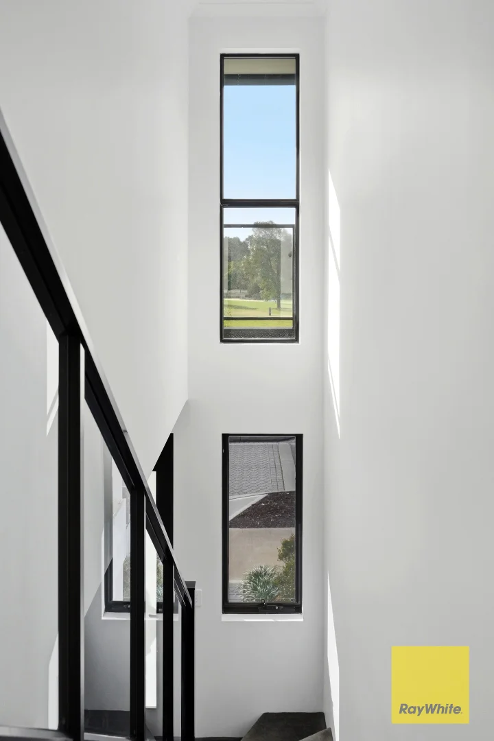 Image 29