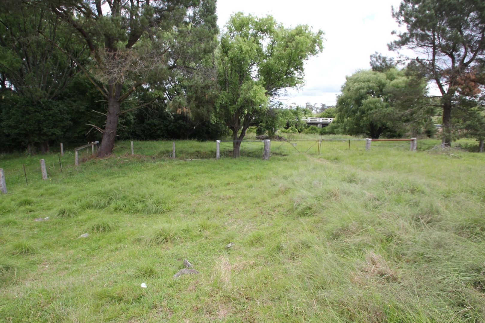 332A Mount Lindesay Road, Tenterfield NSW 2372, Image 2