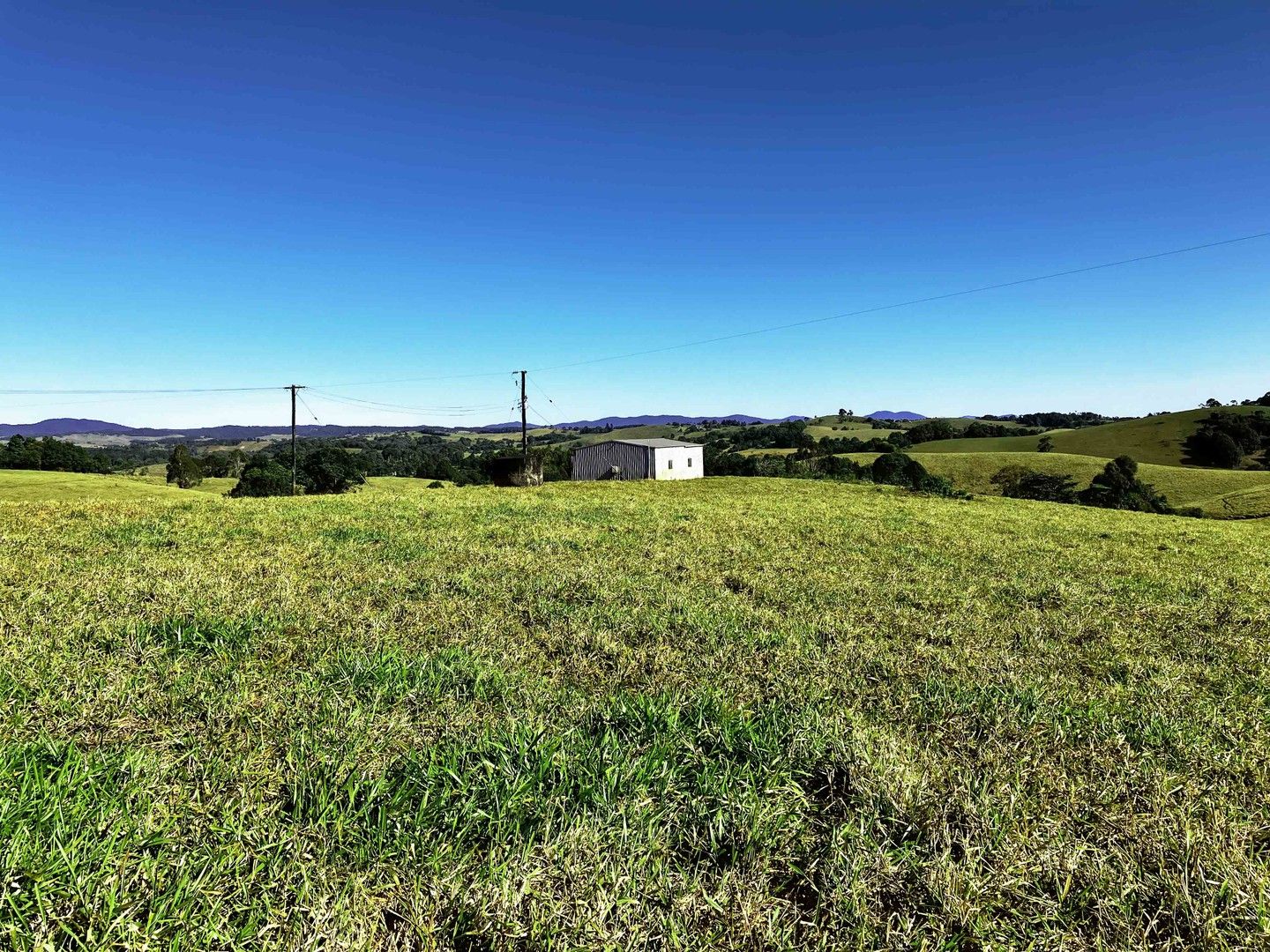 Tarzali QLD 4885 Specialist Farm for Sale 1,200,000 Domain