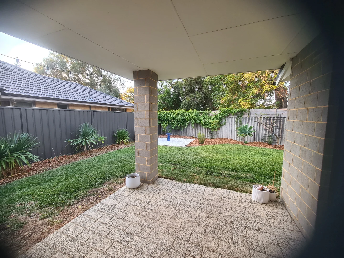 Image 22
