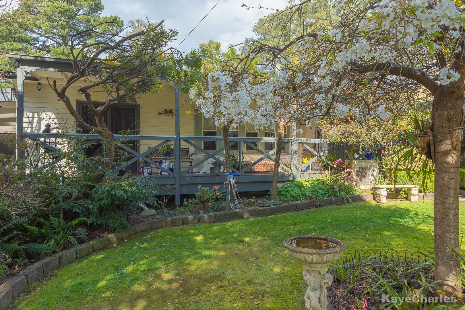 11 Ambrose Street, Emerald VIC 3782, Image 0