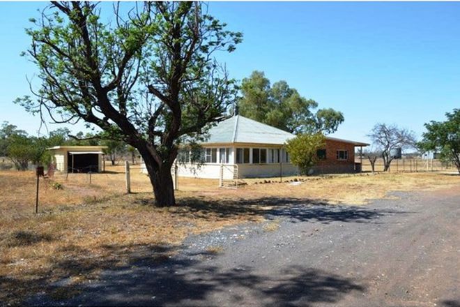 Picture of 1076 Watermark Road, CURLEWIS NSW 2381