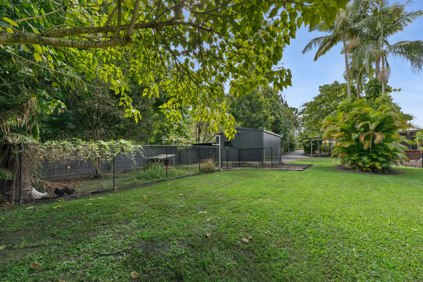 Image 8