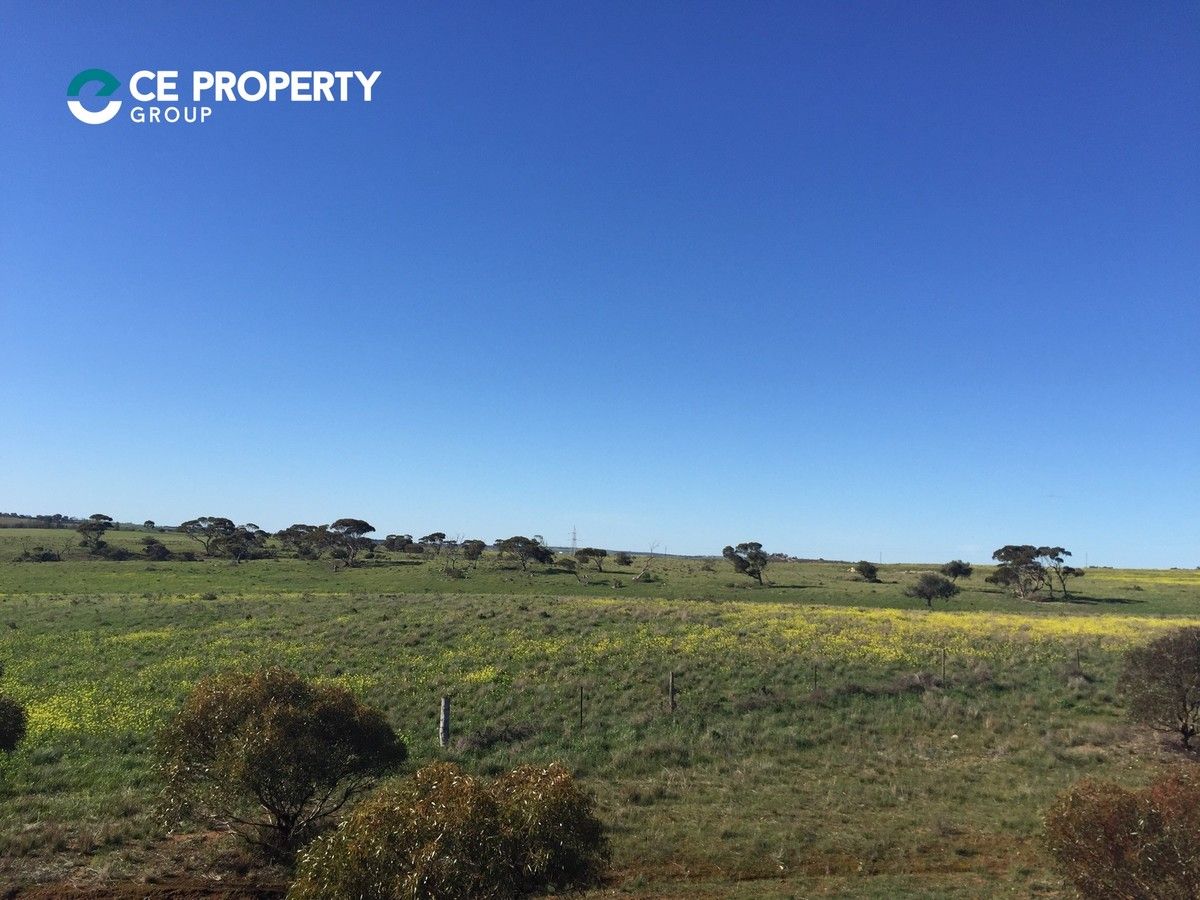 Lot 599 Caloote Road, Caloote SA 5254, Image 0