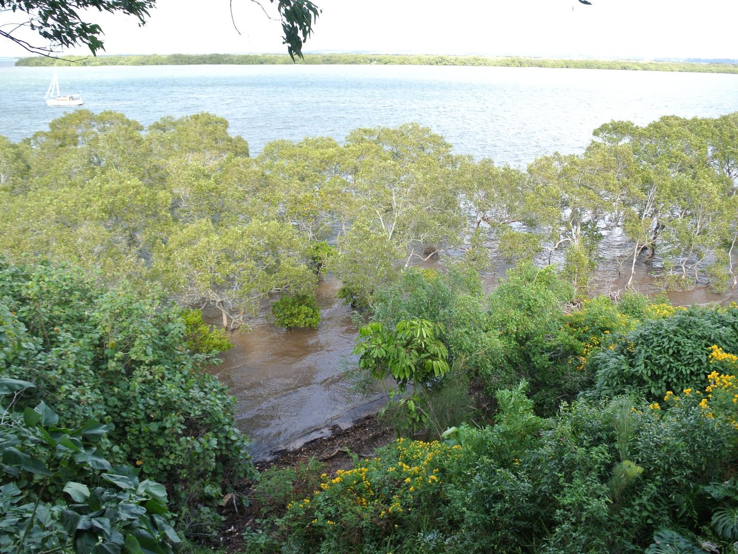 14 Emily Crescent, Macleay Island QLD 4184, Image 2