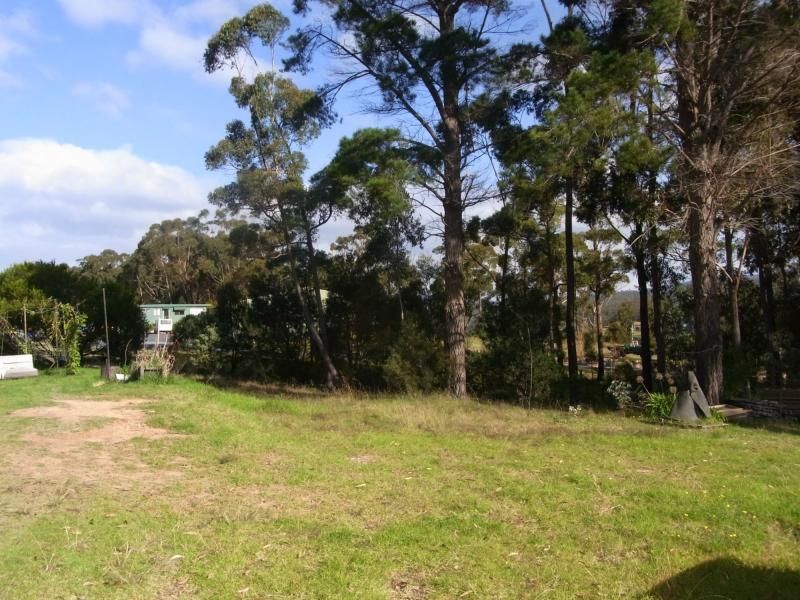 Lot 1222 Princes Highway, Greigs Flat NSW 2549, Image 2