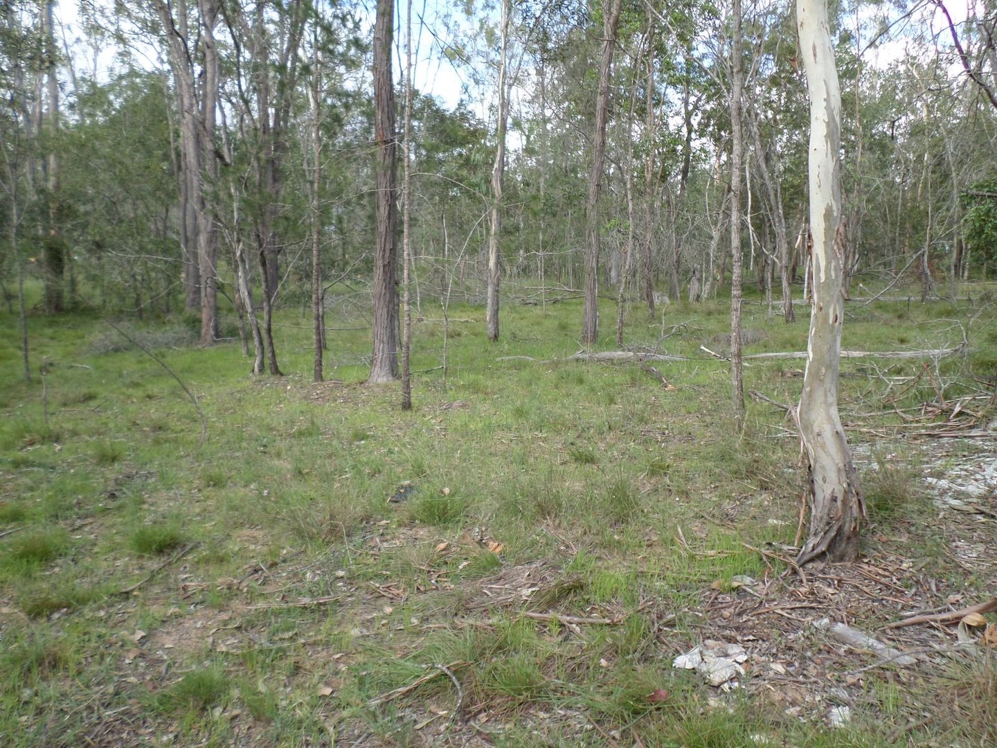 Kullogum QLD 4660, Image 2