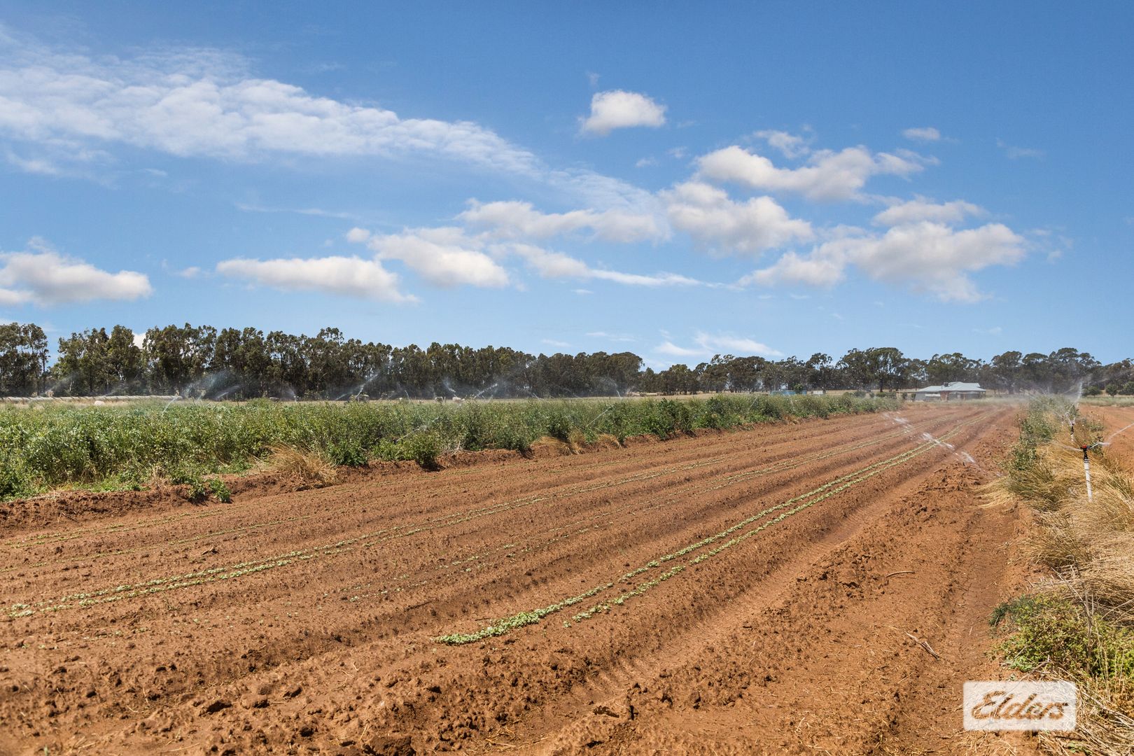 421 GoornongFosterville Road, Goornong VIC 3557 House for Sale