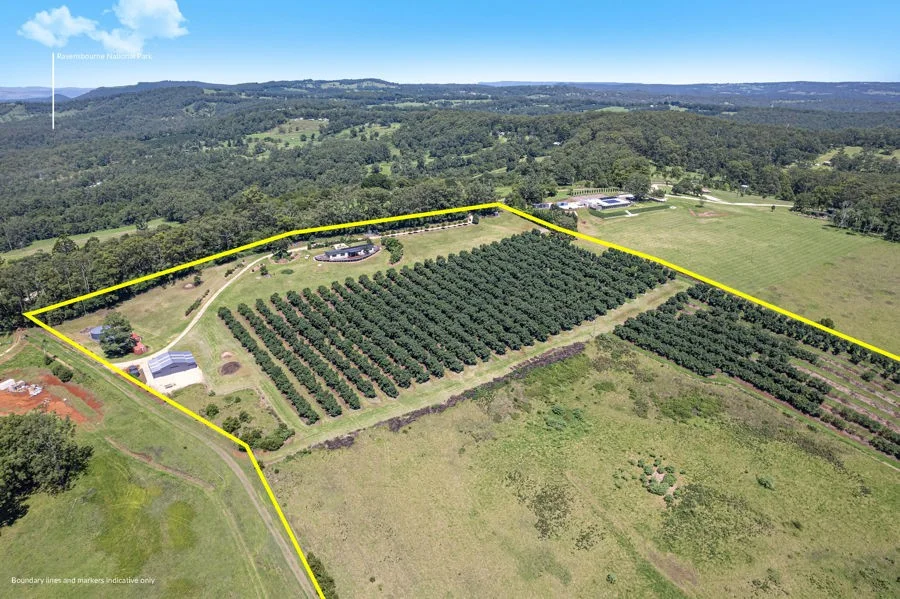 Additional image 25 of Lot 4 Horrex Road, Ravensbourne QLD 4352