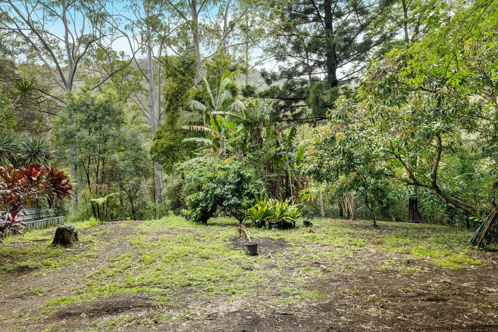 362 Boundary Creek Road, Bentley NSW 2480 - House for Sale | Domain