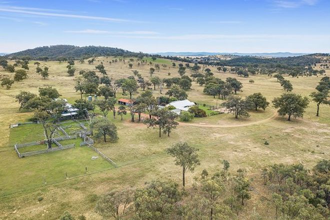 Picture of 703 Verona Road, STANTHORPE QLD 4380