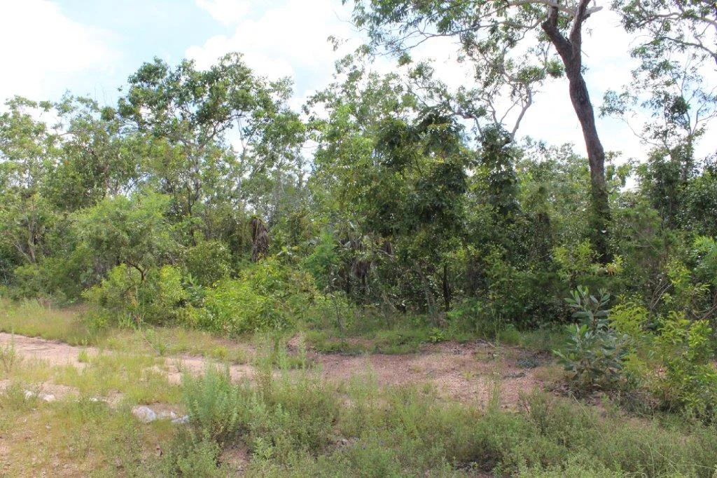 Additional image 6 of 155 Serrata Road, Dundee Downs NT 0840