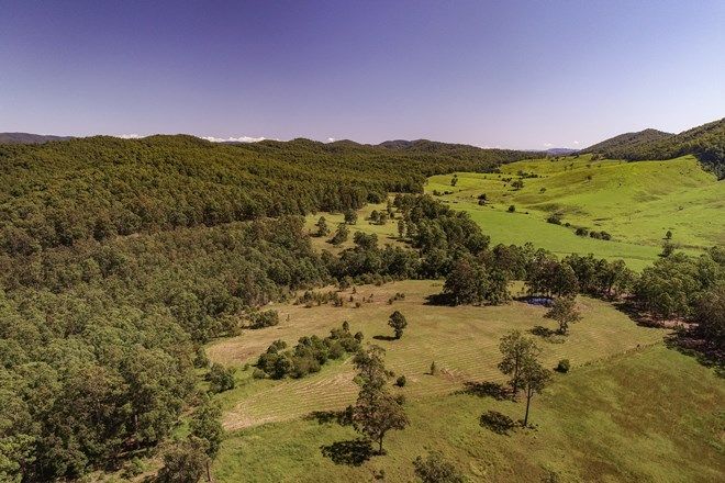 Picture of Lot 1 Prices Creek Road, GLOUCESTER NSW 2422