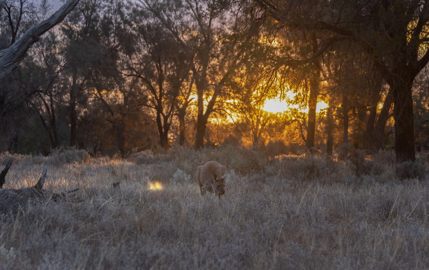 Additional image 14 of 189 Coyles Road, Wodonga VIC 3690