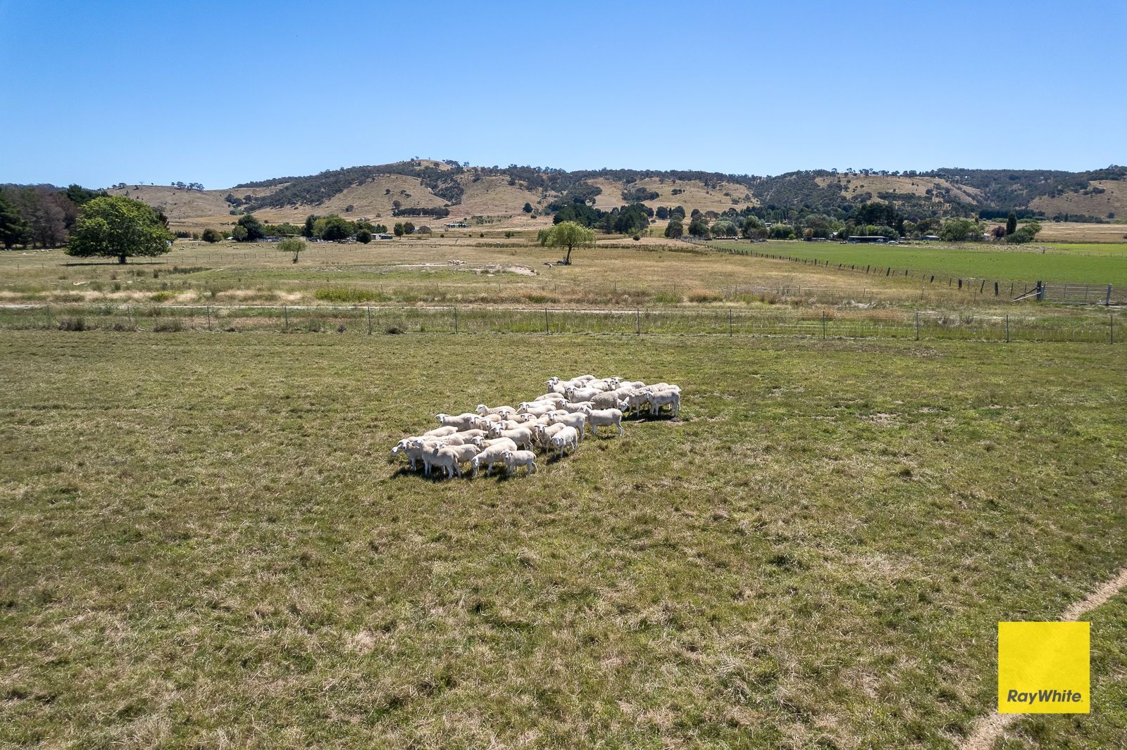 Lot 253/388 Mathews Lane, Bungendore NSW 2621, Image 1