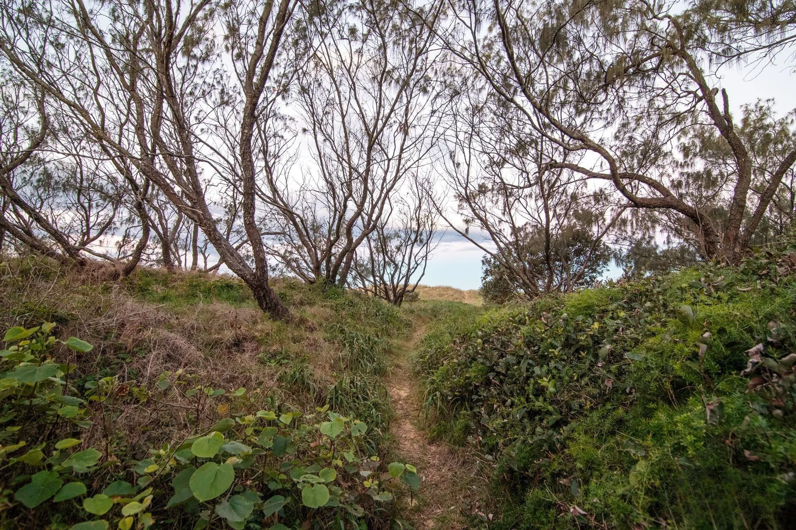 Image 19