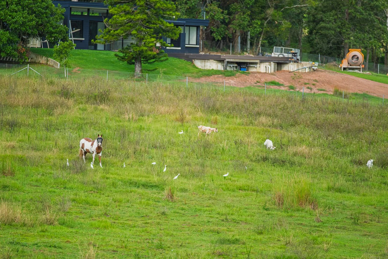 Additional image 49 of 40 McGinn Road, Gheerulla QLD 4574