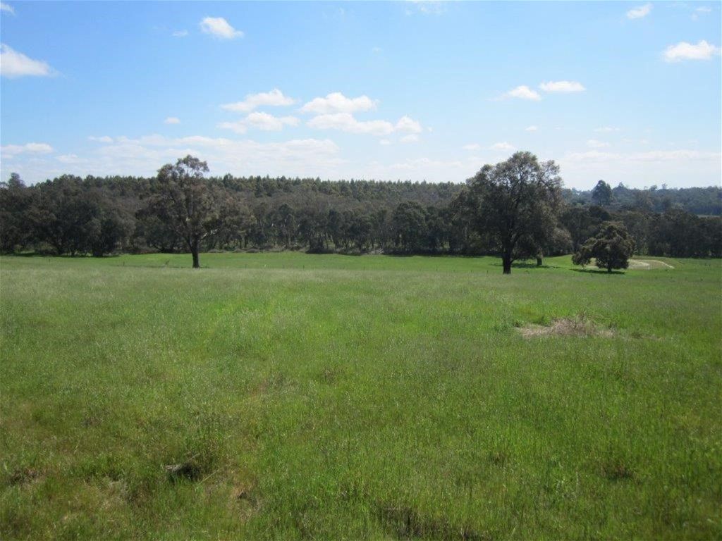 101 Booth Road, Manjimup WA 6258, Image 0