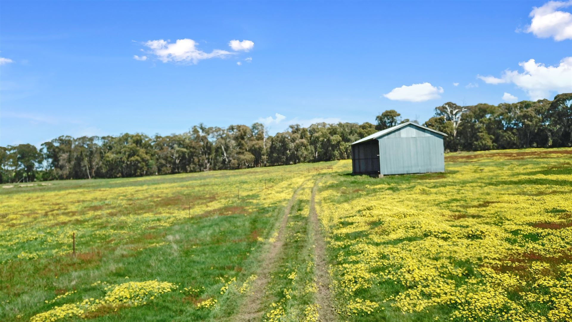 0 Euroa-Strathbogie Road, Kithbrook VIC 3666, Image 2