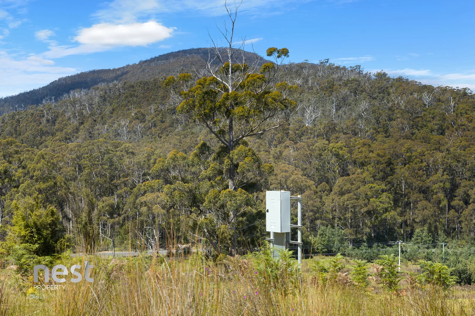 Image 15