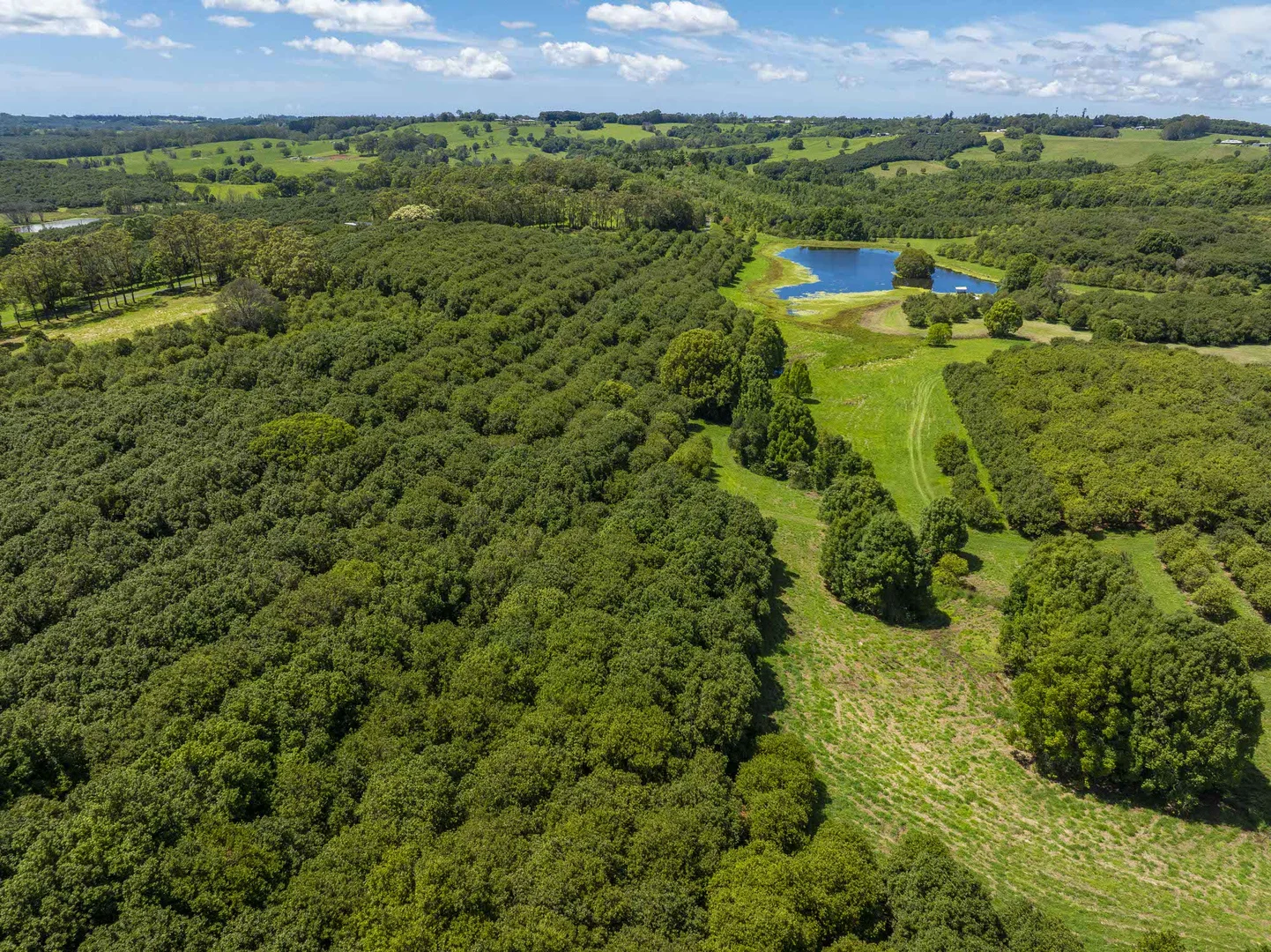 Additional image 19 of 308 Cowlong Road, McLeans Ridges NSW 2480