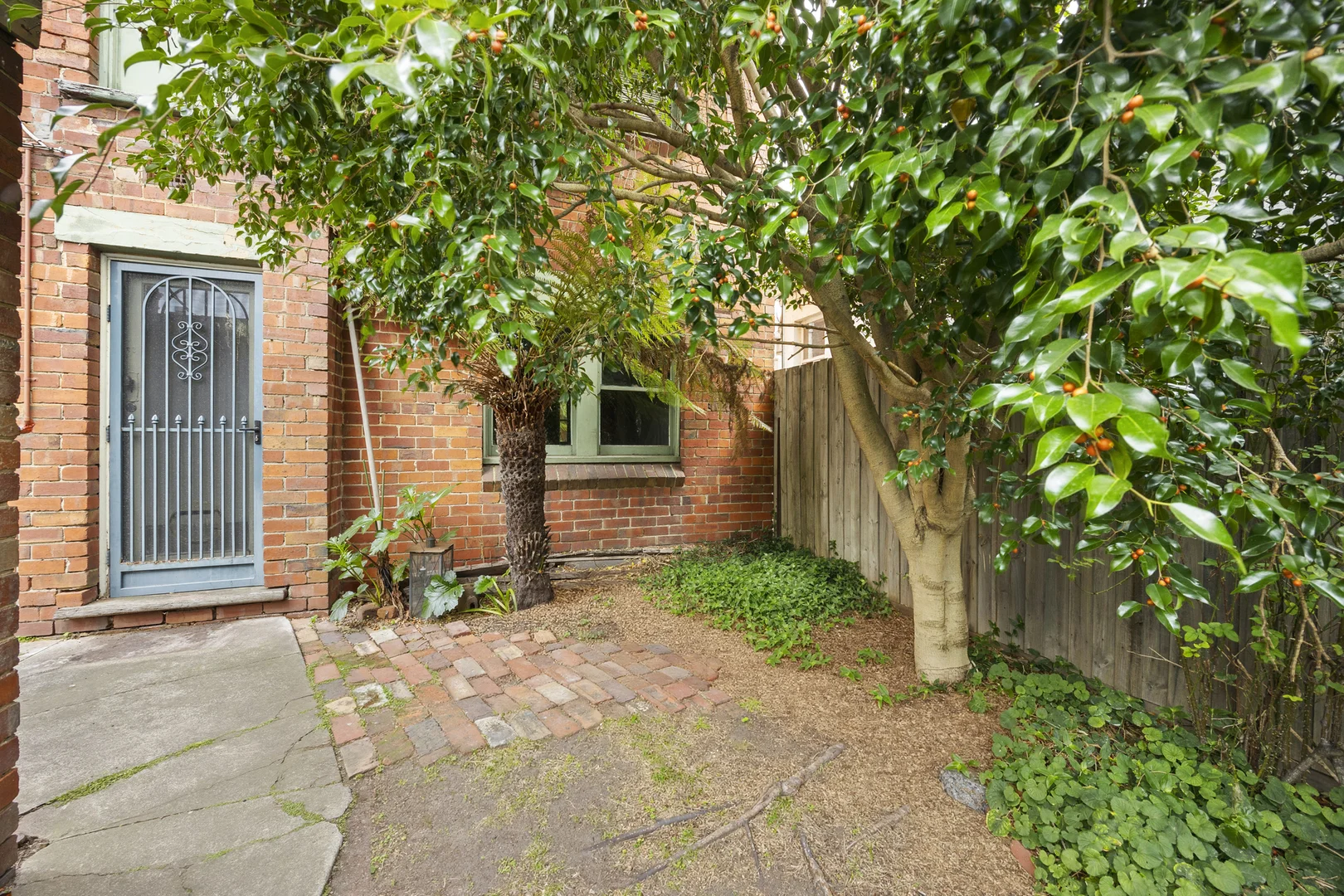 Image 12