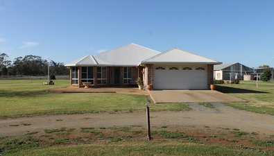 Picture of 175 Dandaloo Road, TRANGIE NSW 2823