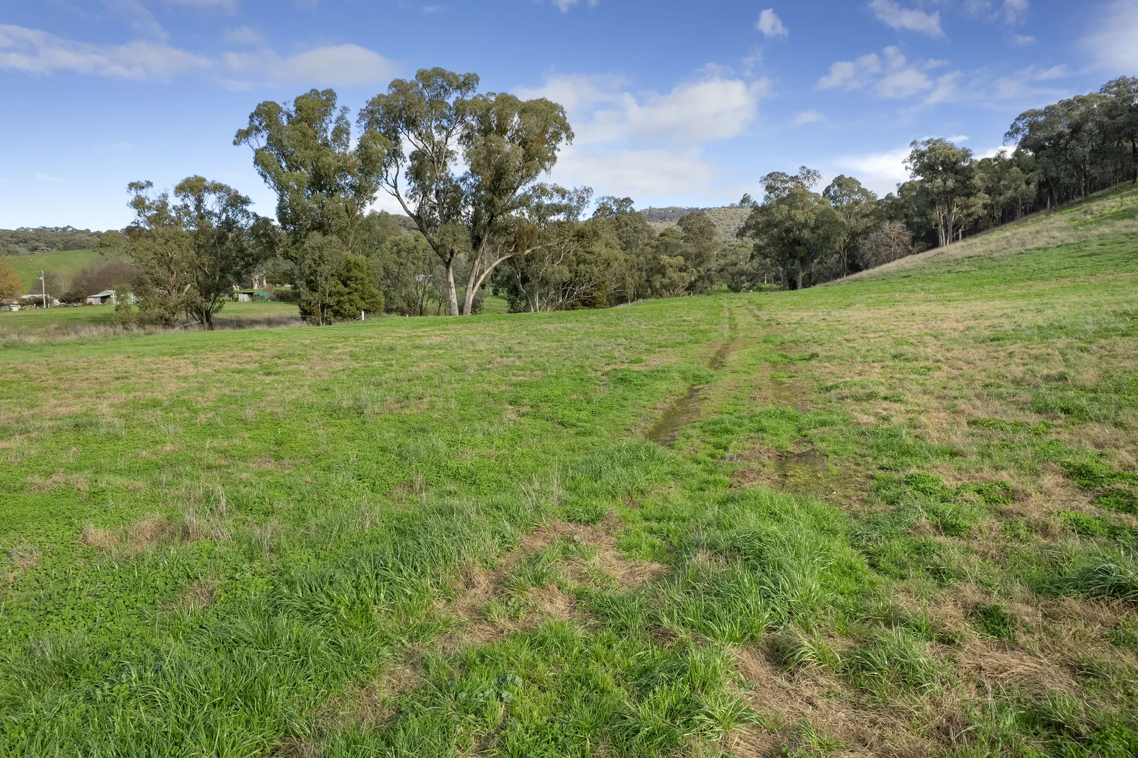 Image 13