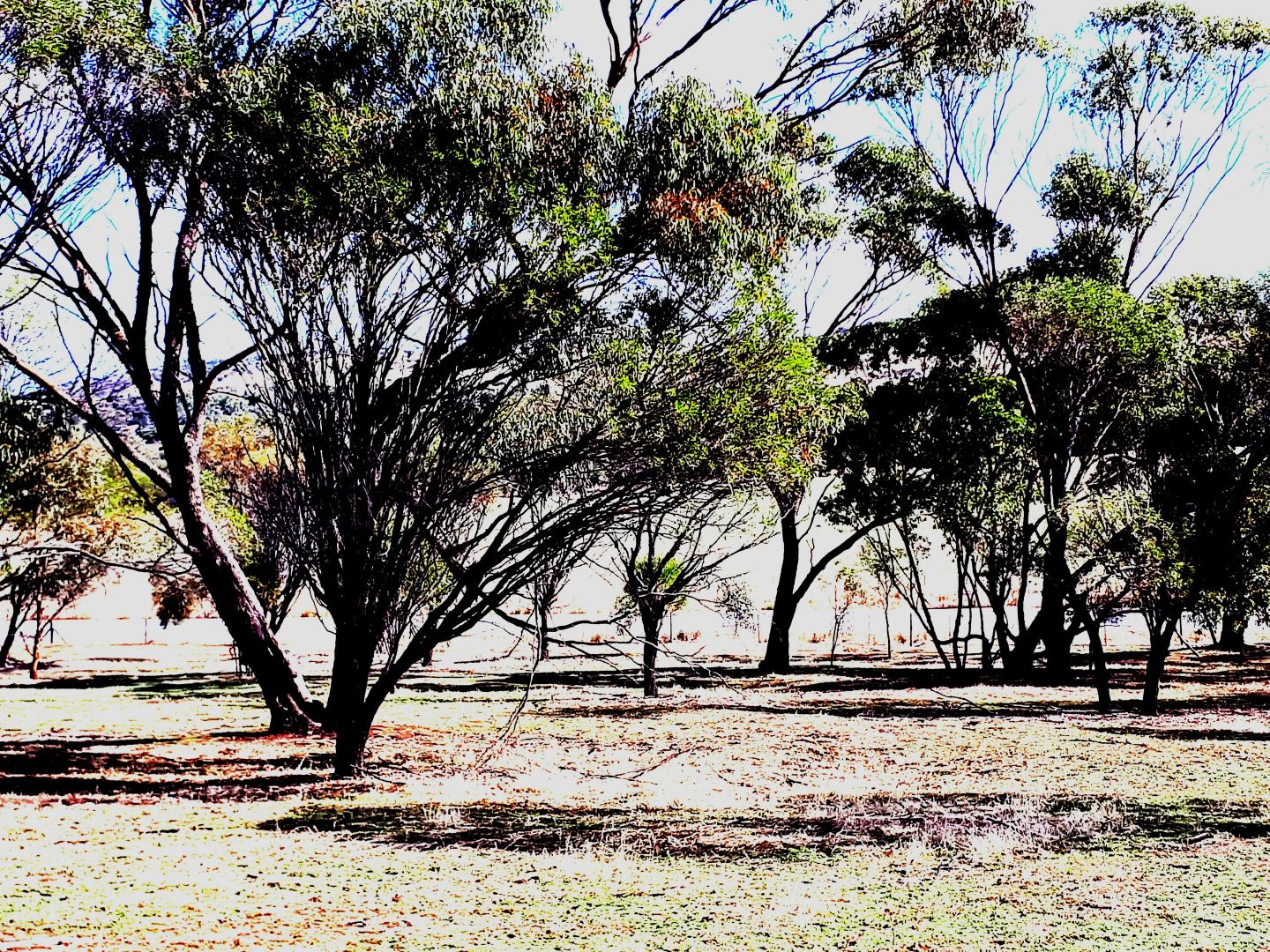 10b Irishtown Road, Northam WA 6401 House for Sale Domain