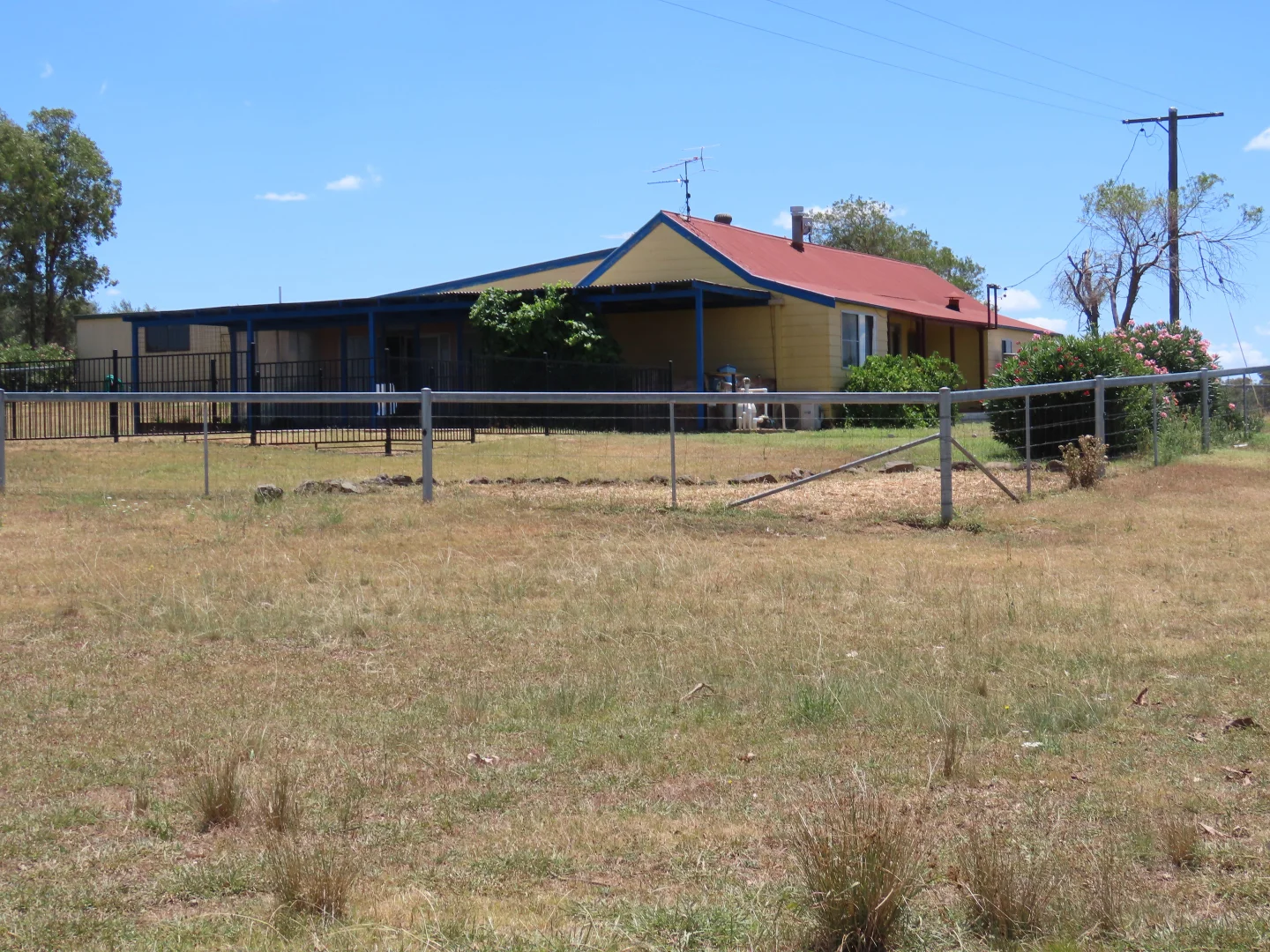 Image 15