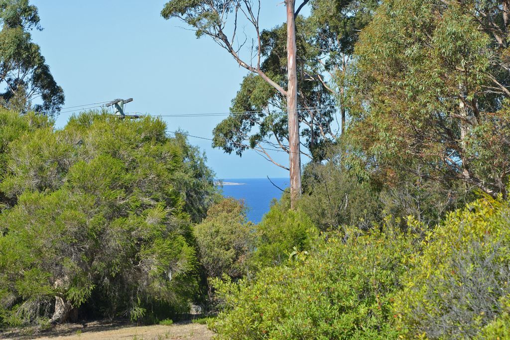 12 Van Leeuwen Crescent, Spring Beach TAS 7190, Image 0