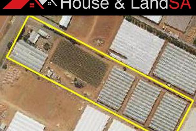 Picture of Lot 21 Womma Road, VIRGINIA SA 5120