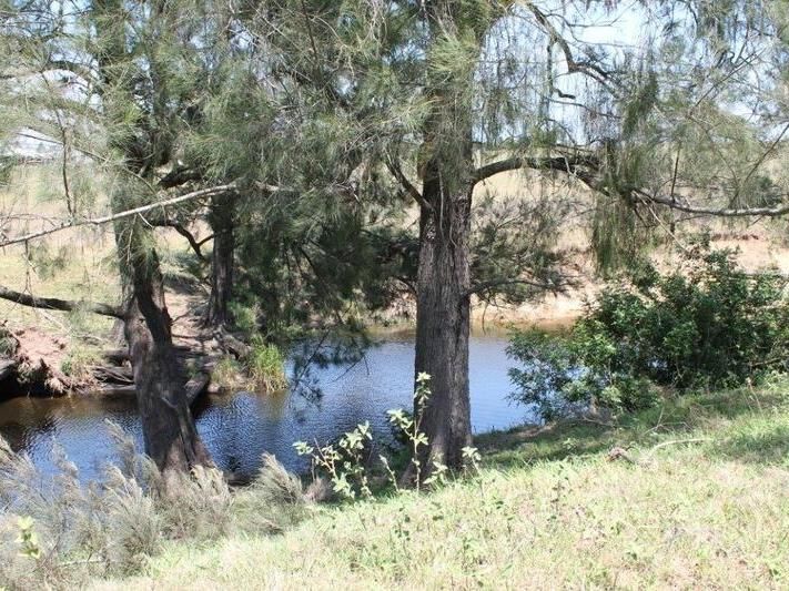 1337 Ipswich-Boonah Road, Peak Crossing QLD 4306, Image 0