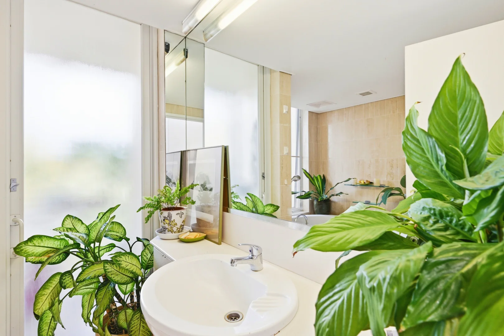 Additional image 20 of 19/66 Hibbard Drive, Port Macquarie NSW 2444