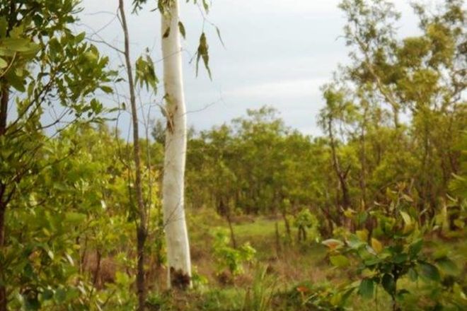 Picture of COLLETT CREEK NT 0822