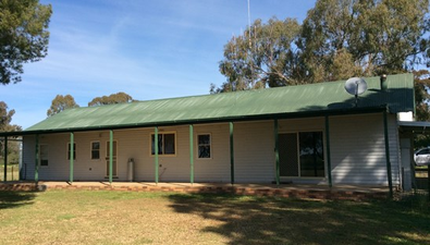 Picture of 1319 Woolshed Road, TOCUMWAL NSW 2714