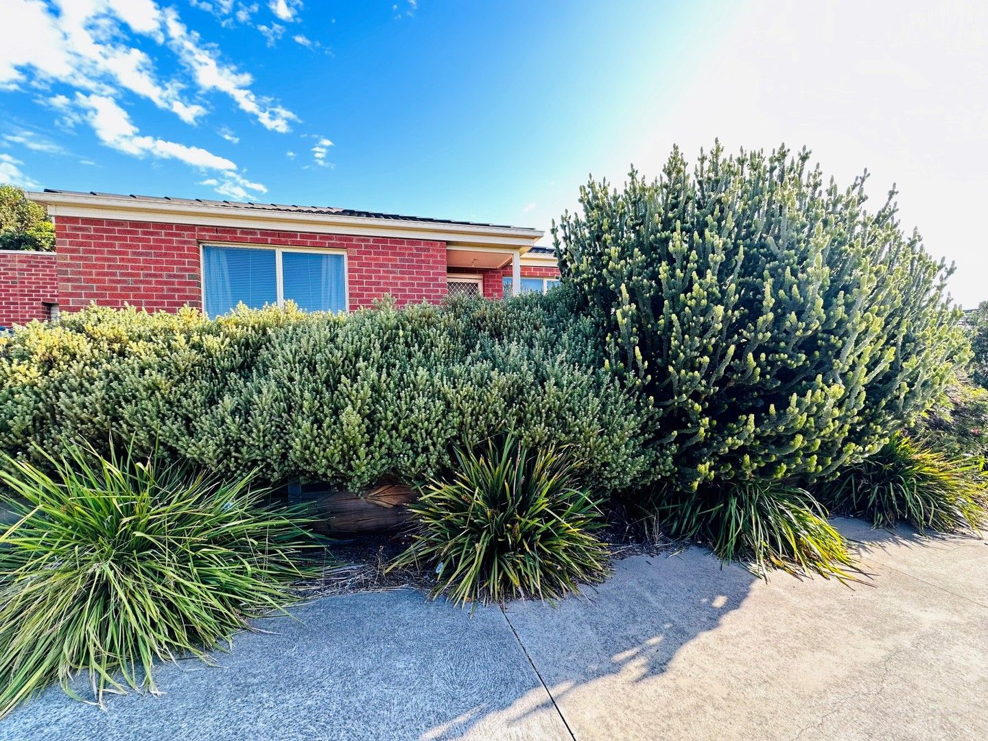 2 bedrooms Townhouse in 8/39 Ferguson Road LEOPOLD VIC, 3224