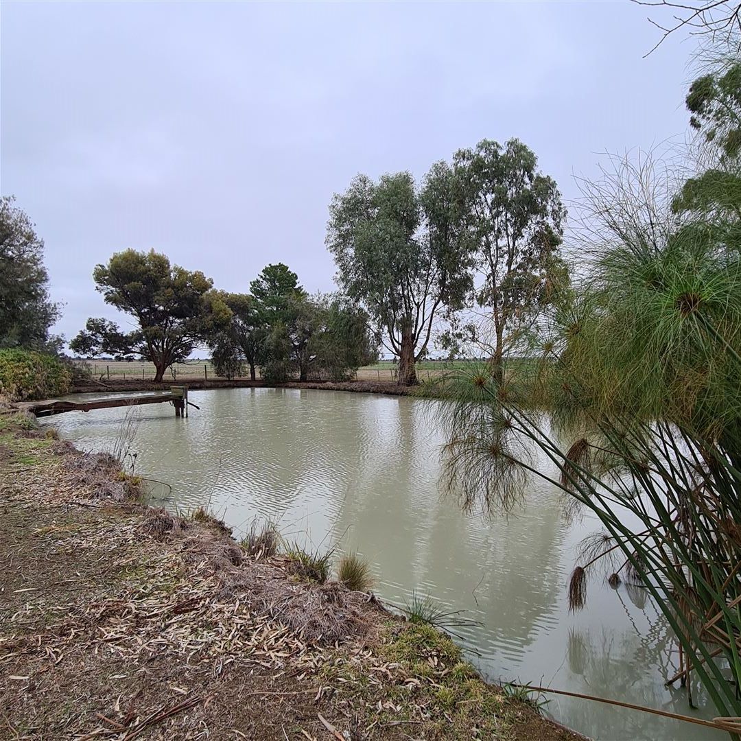 102 Fairley Road, Reedy Lake VIC 3579, Image 2