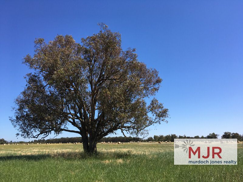 Lot 32 Mundijong Road, Mardella WA 6125, Image 1