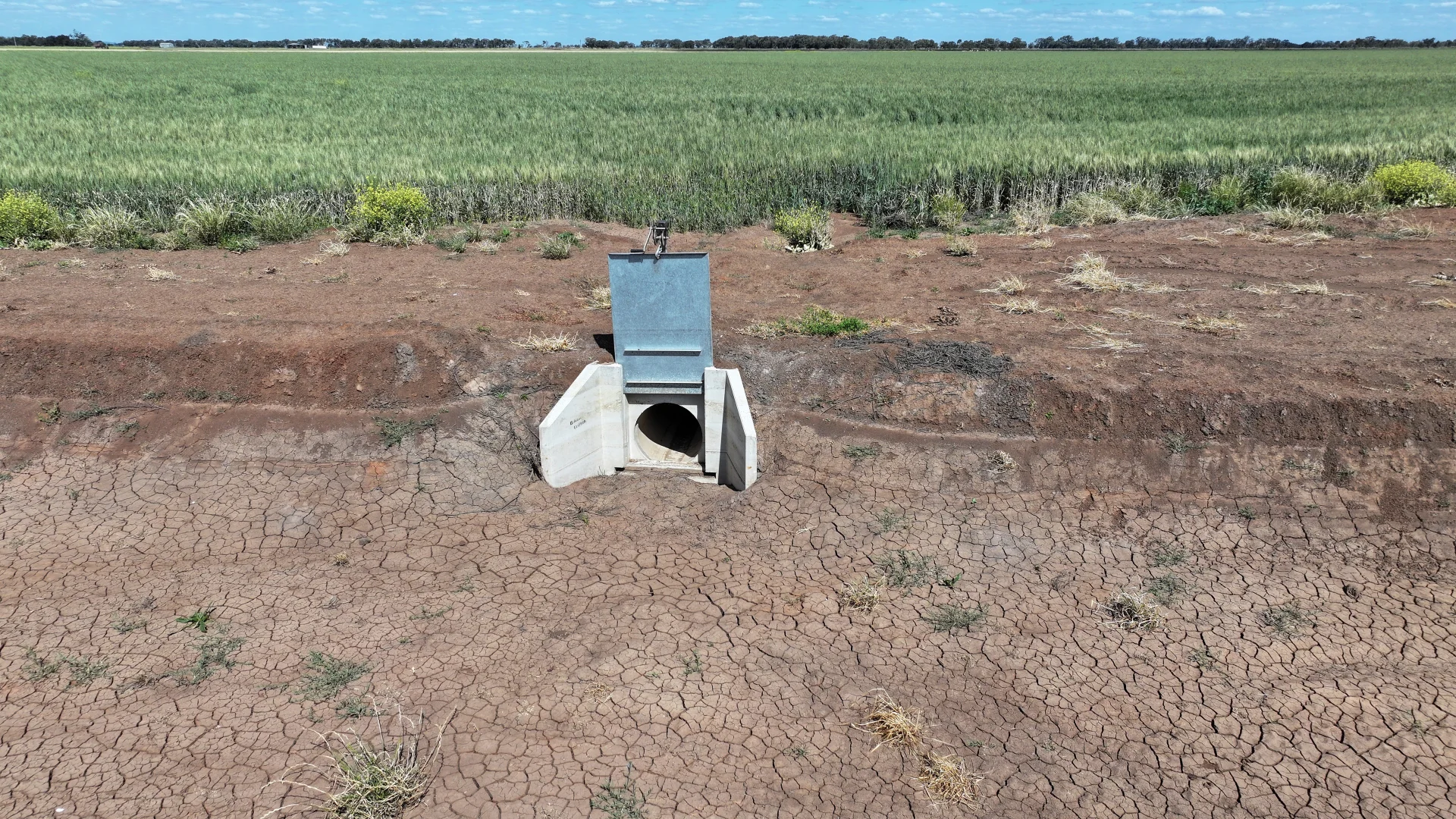 Image 6