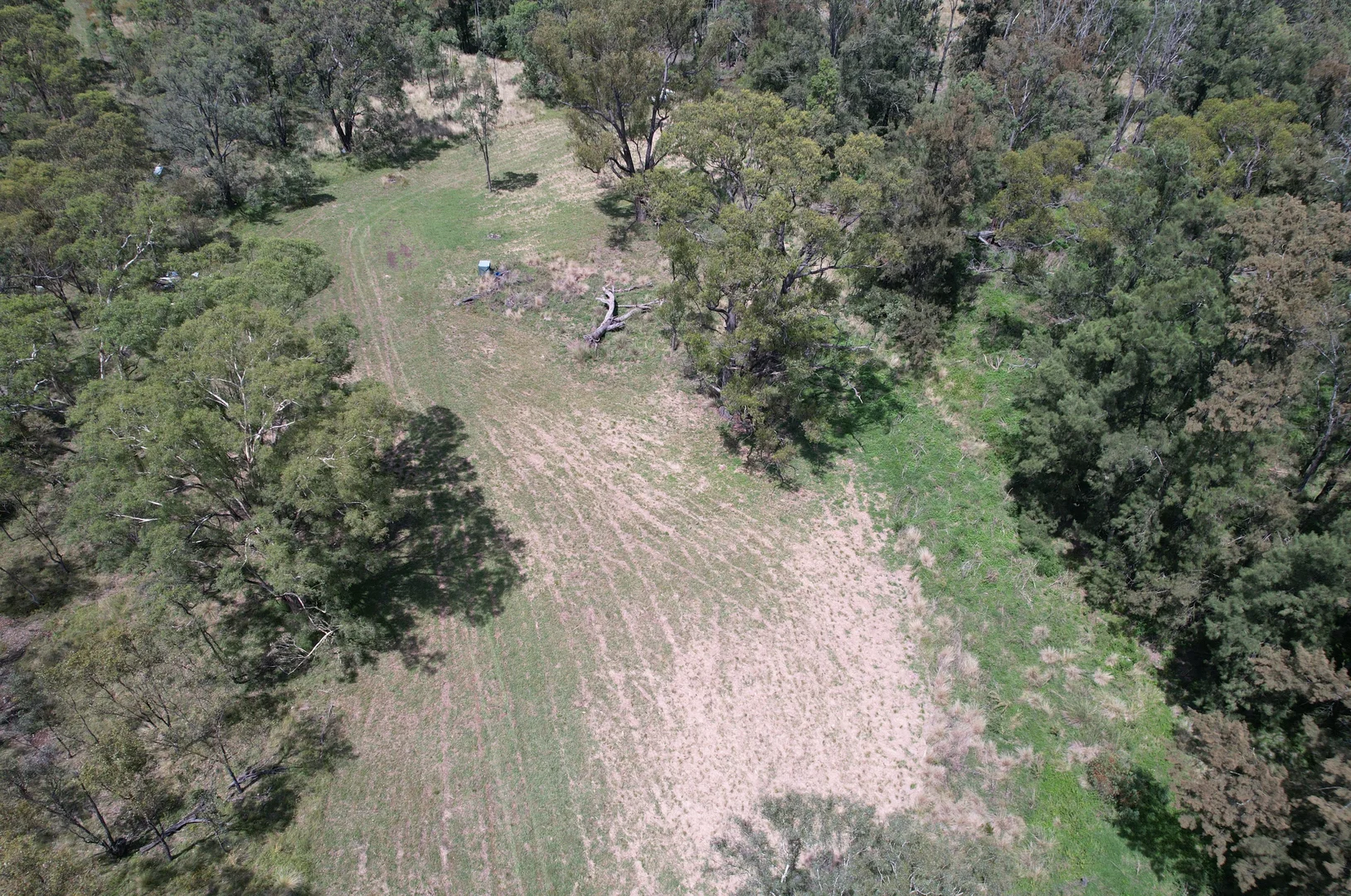 Image 12
